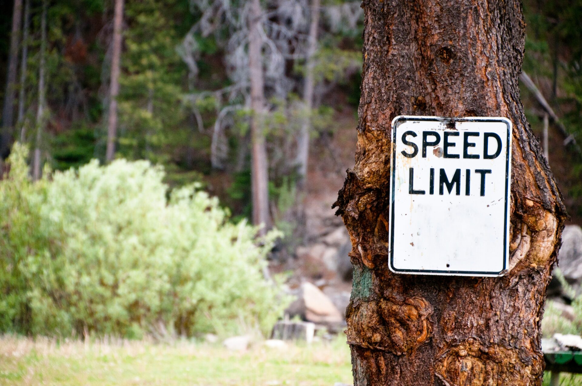 Does Every Vantage Have Its Own Natural Speed?